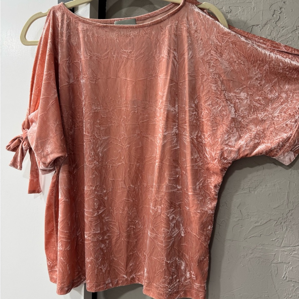 Anthropologie blush pink crushed velvet short sleeve blouse